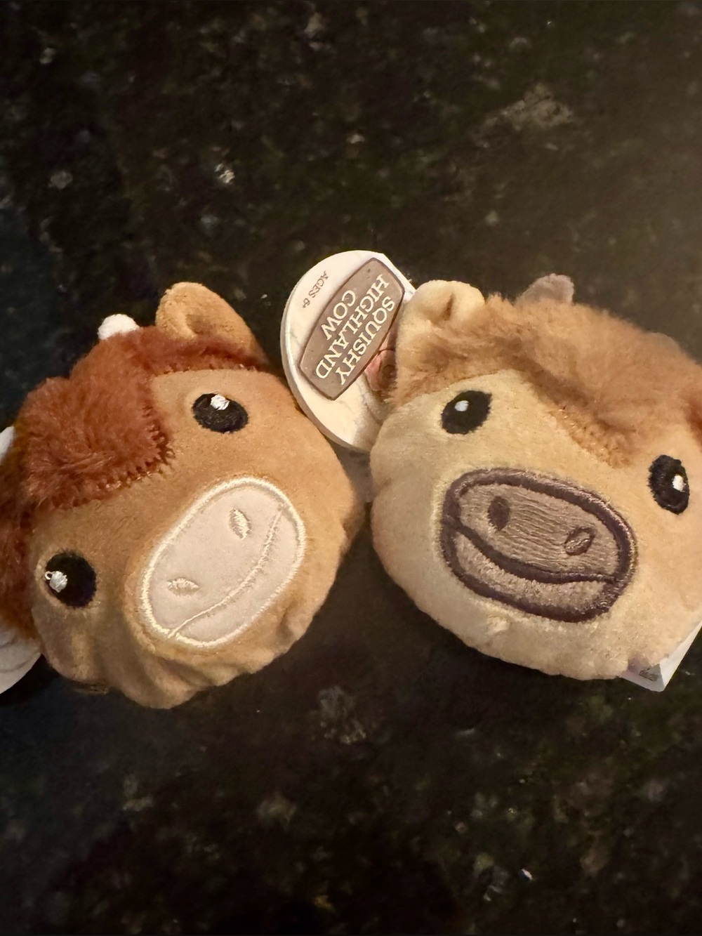 Plush Highland Cow Squishy- So Cute & Rare